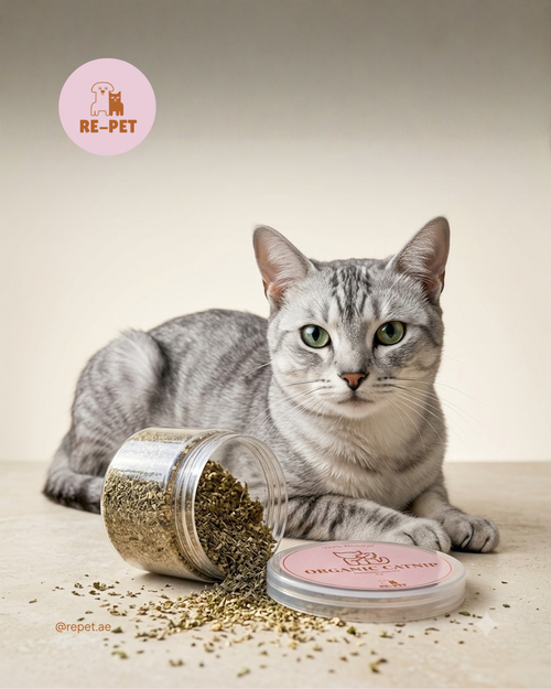 Repet Organic Catnip